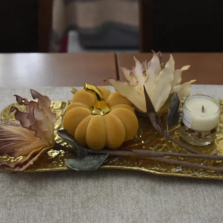 Vasiliki 아파트 *